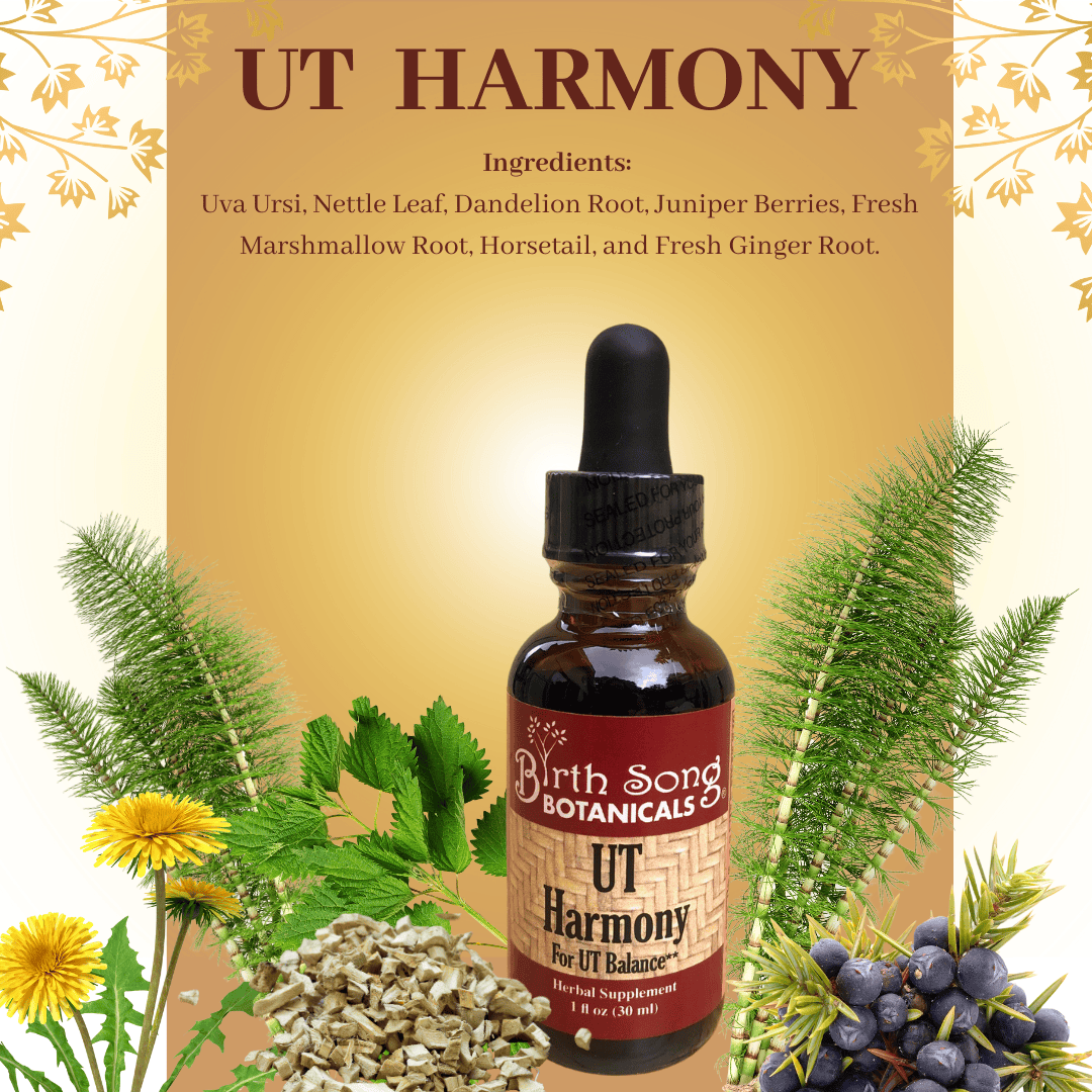 Birth Song Botanicals Co. Tinctures UT Harmony Herbal Tincture, Liquid Supplement for Women, Supports Urinary Tract and Bladder Health*, Supports healthy PH &amp; Urinary Strength* 1 oz.