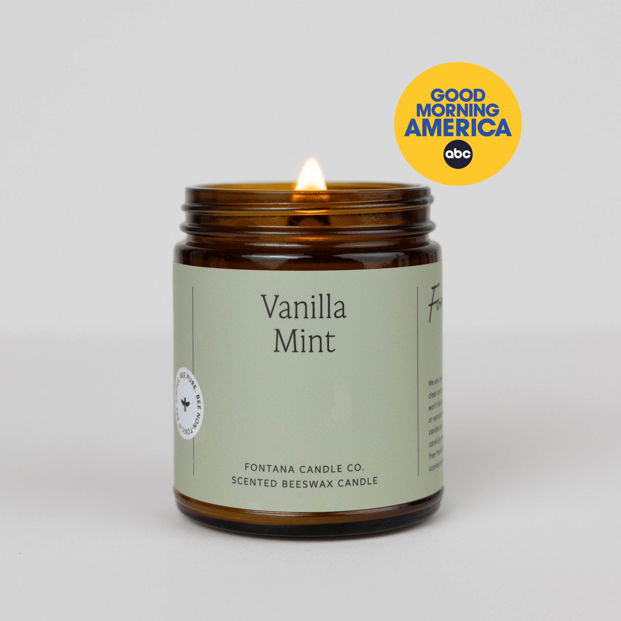 Fontana Candle Co Candles 9 oz Straight Sided Jar Vanilla Mint Jar Candle