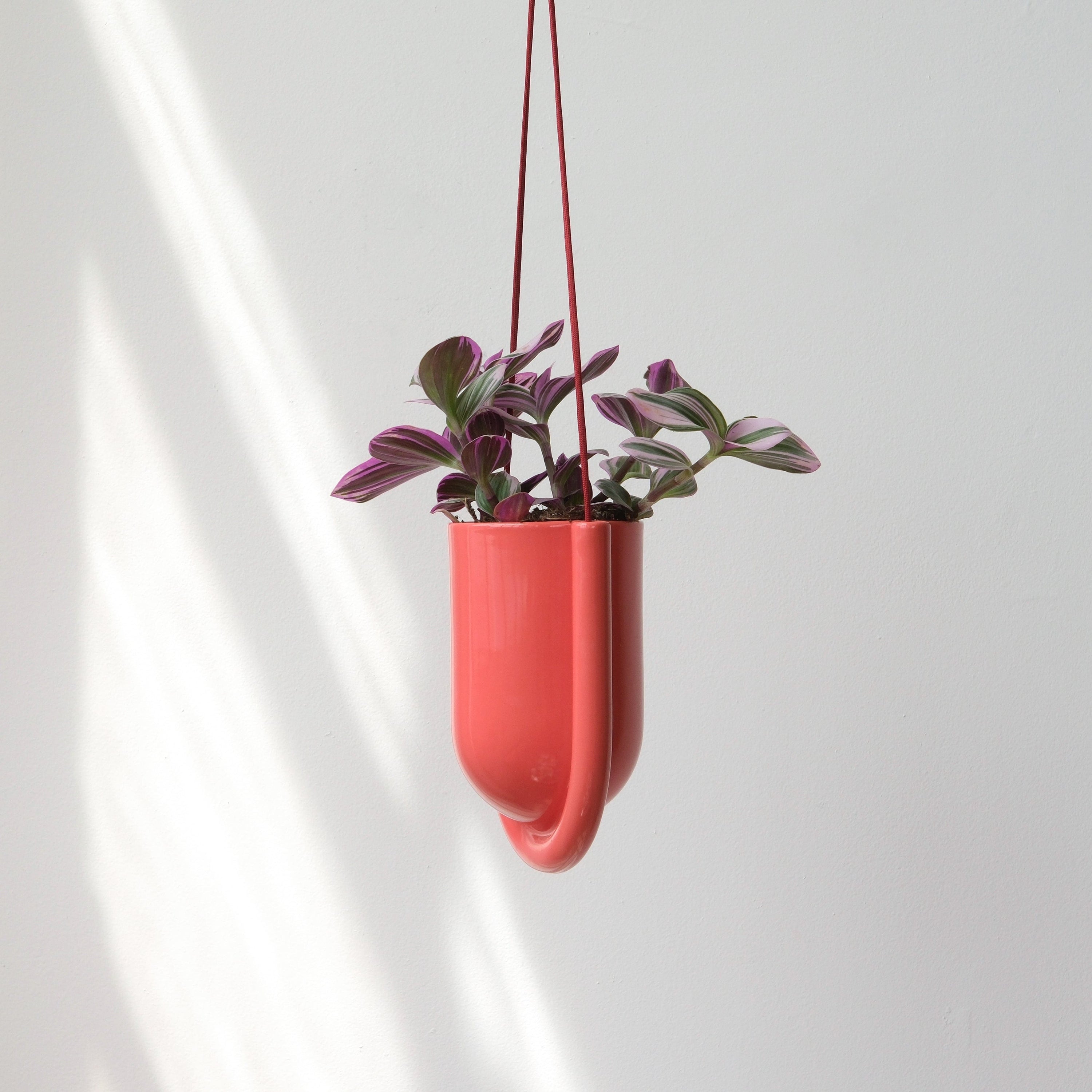 Misewell Pots &amp; Planters Portico Planter