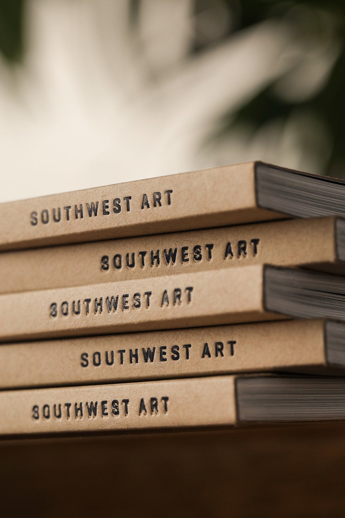 Wildsam Photo Almanac Southwest Art