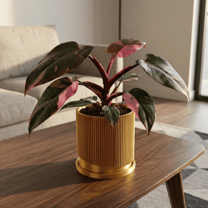 Mid-Century Ribbed Planter with Drainage and Saucer in Multiple Colors, 3D Printed Planter with Unique Modern Design, Lightweight, Wave