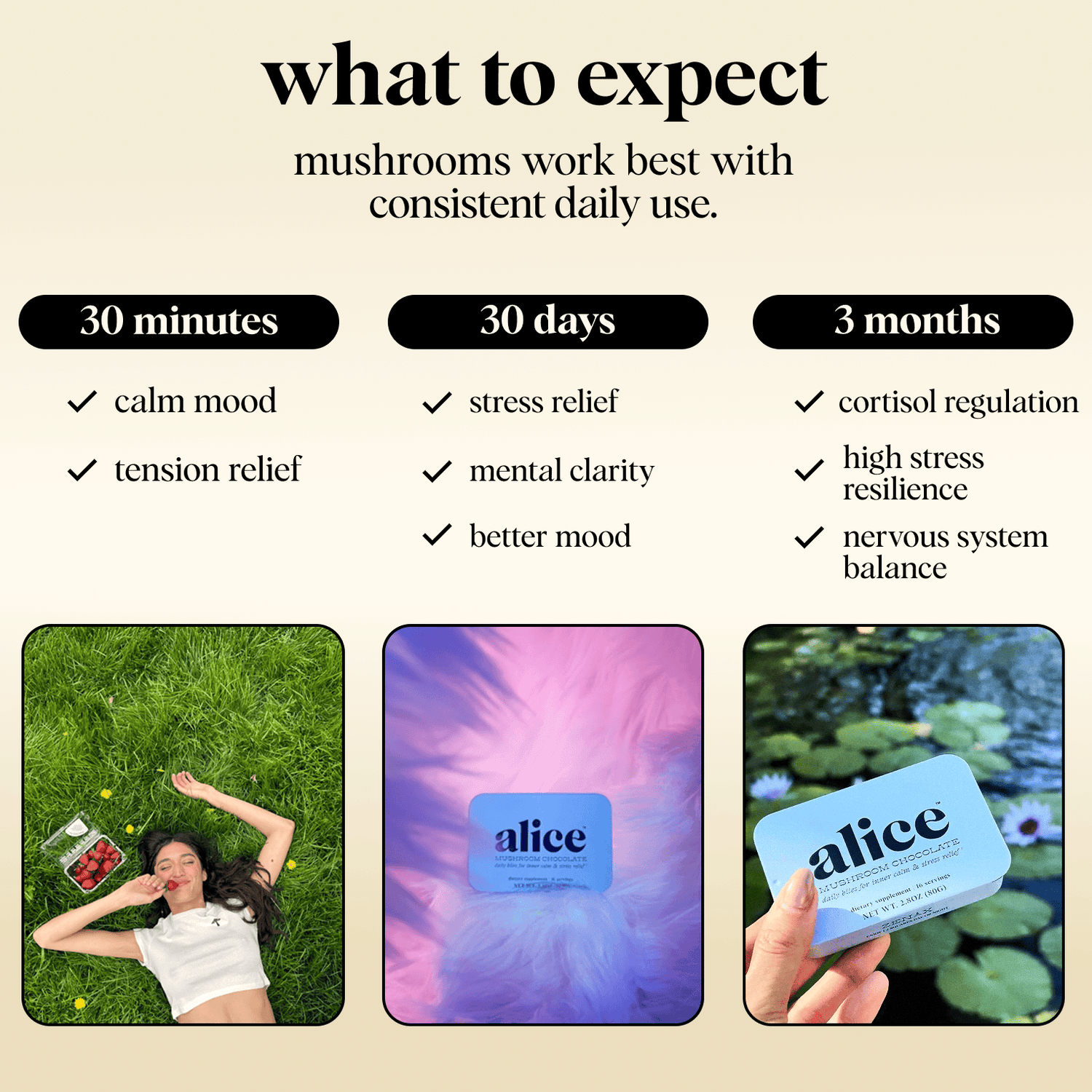 alice mushrooms Vitamins &amp; Supplements Zen-X Functional Mushroom Chocolates