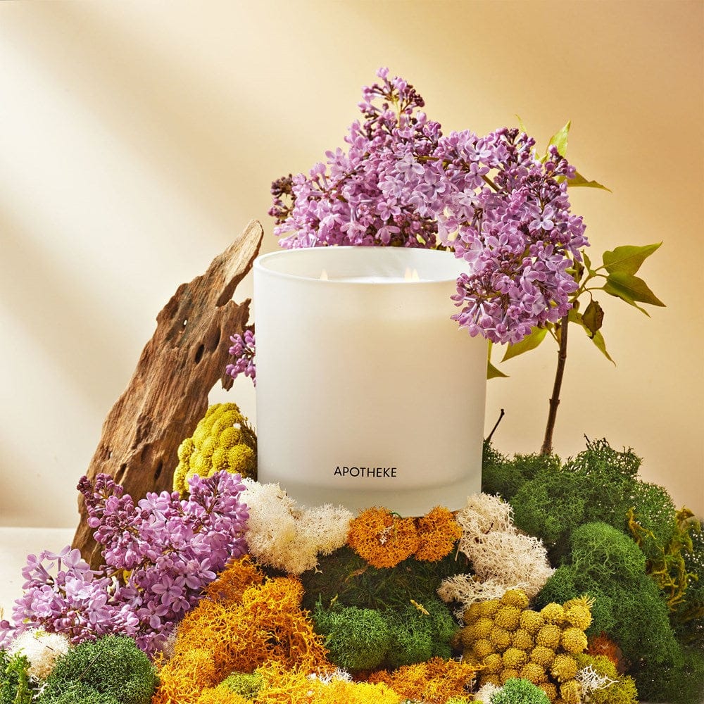 APOTHEKE 3-Wick Candles White Vetiver 3-Wick Candle