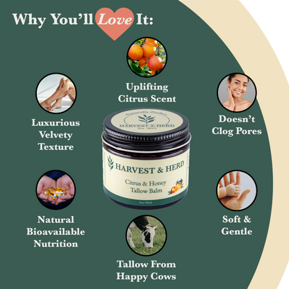 Citrus &amp; Honey Tallow Balm - My American Goods