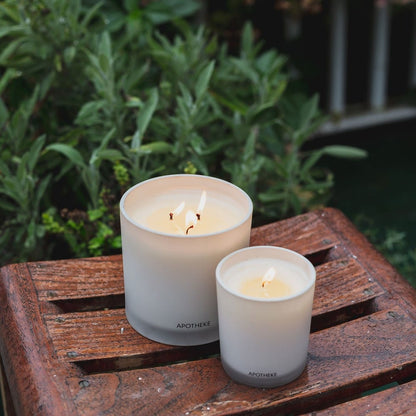 APOTHEKE 3-Wick Candles Wild Mint and Ivy 3-Wick Candle