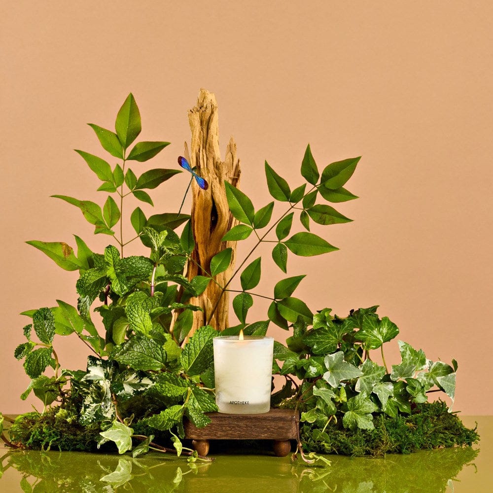 APOTHEKE Votives Wild Mint and Ivy Votive Candle