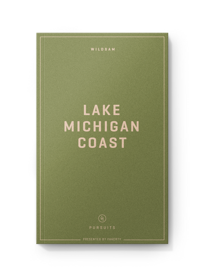 Lake Michigan Coast