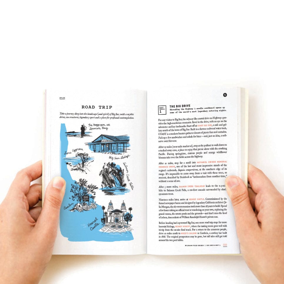 Wildsam Field Guides BIG SUR &amp; HWY 1