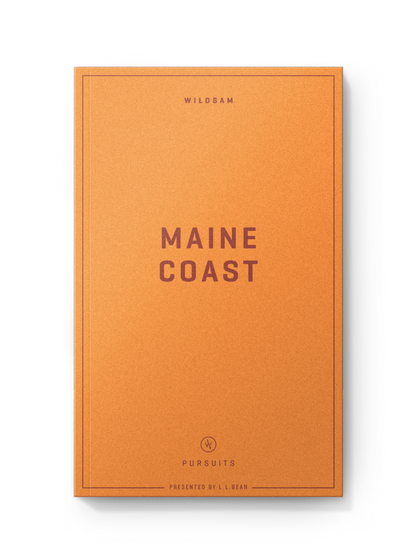 Maine Coast