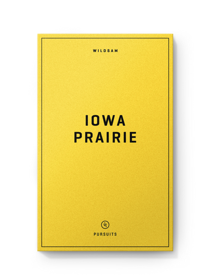 Iowa Prairie