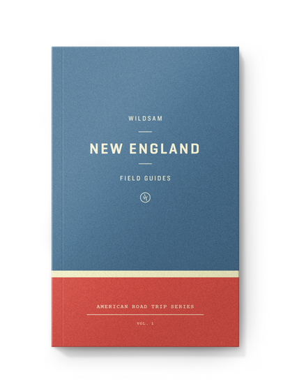 New England