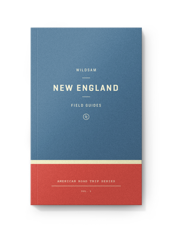 New England