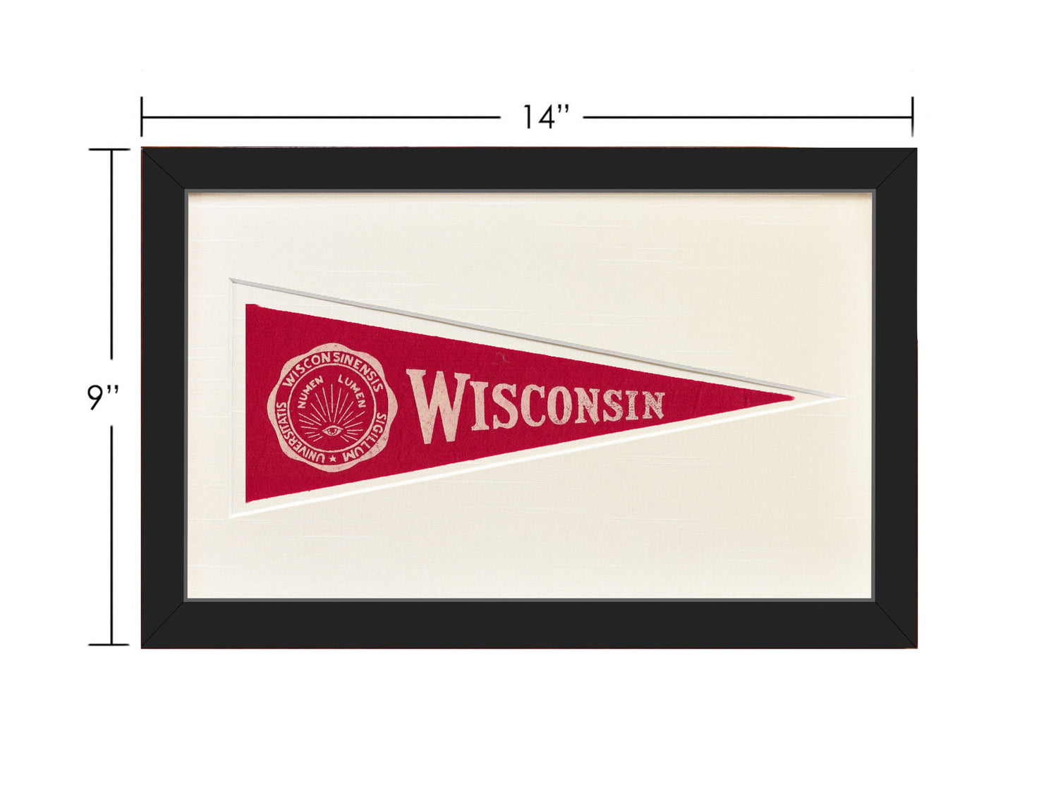 Vintage Wisconsin Hormel Pennant