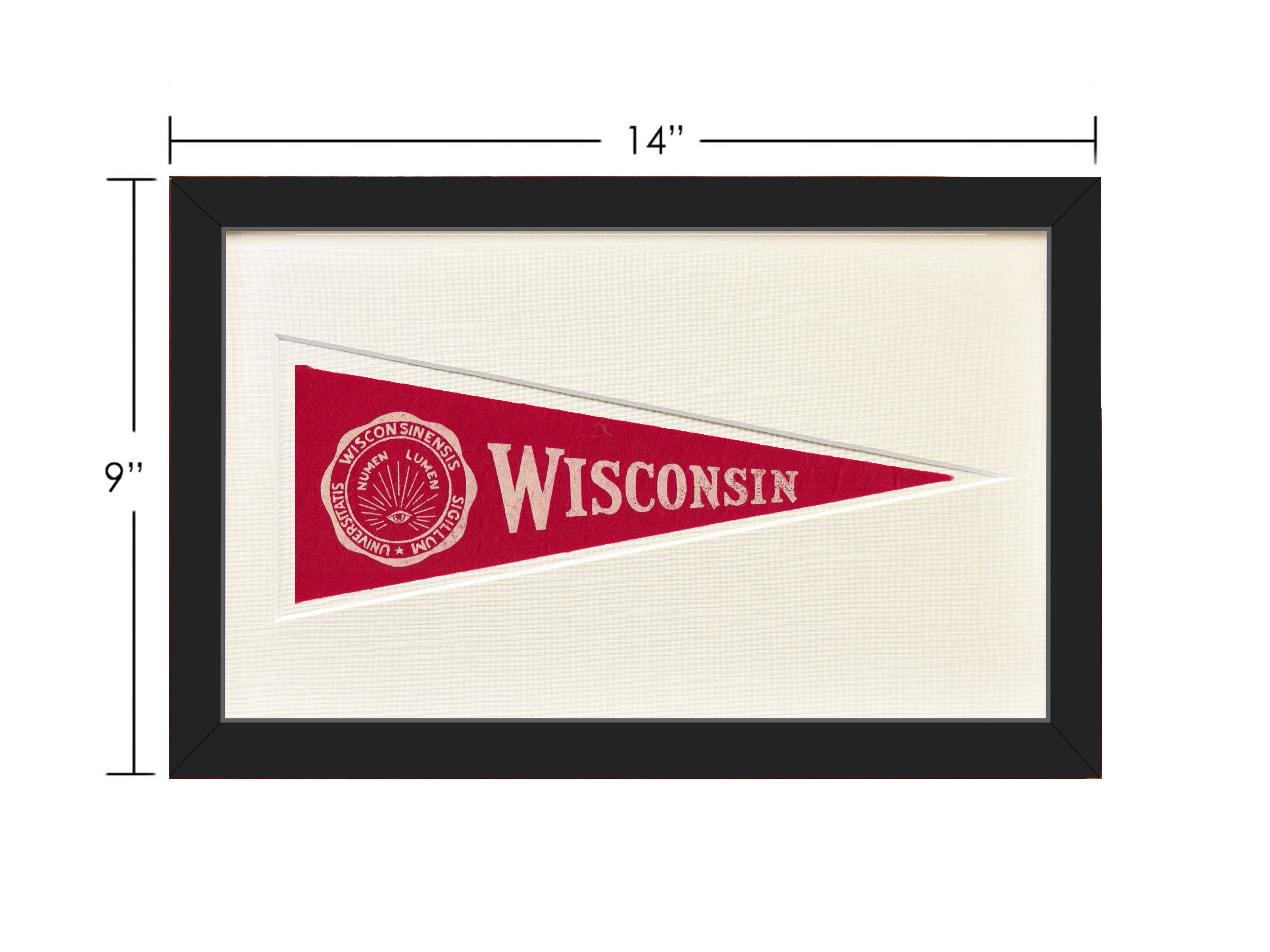 Vintage Wisconsin Hormel Pennant