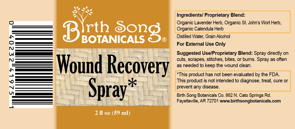 Birth Song Botanicals Co. First Aid Herbal Wound  Spray for First Aid