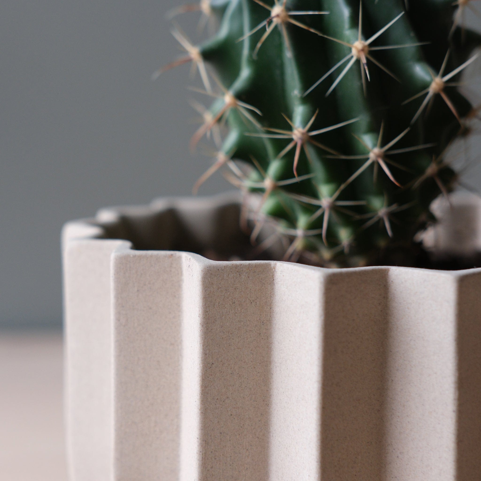 Misewell Pots &amp; Planters Wrap Planter - 4 sizes