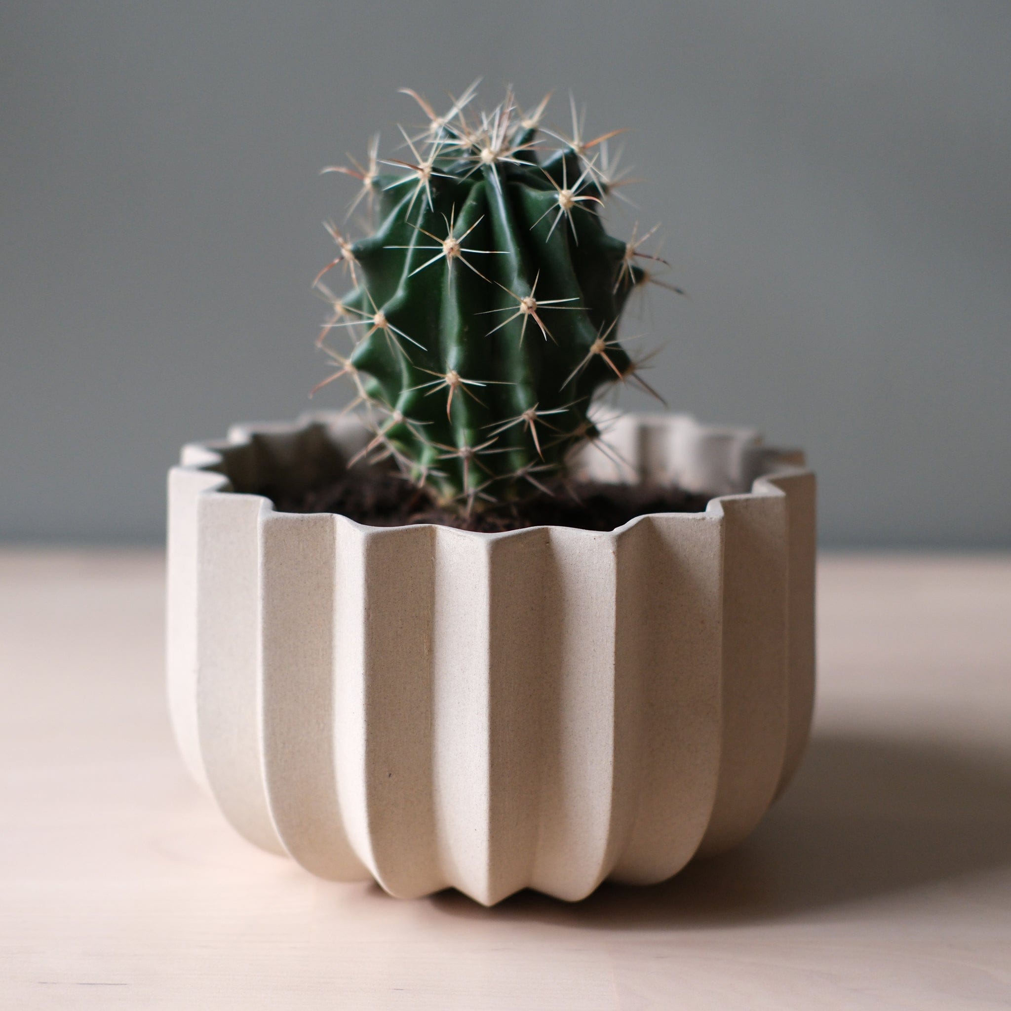 Misewell Pots &amp; Planters Wrap Planter - 4 sizes