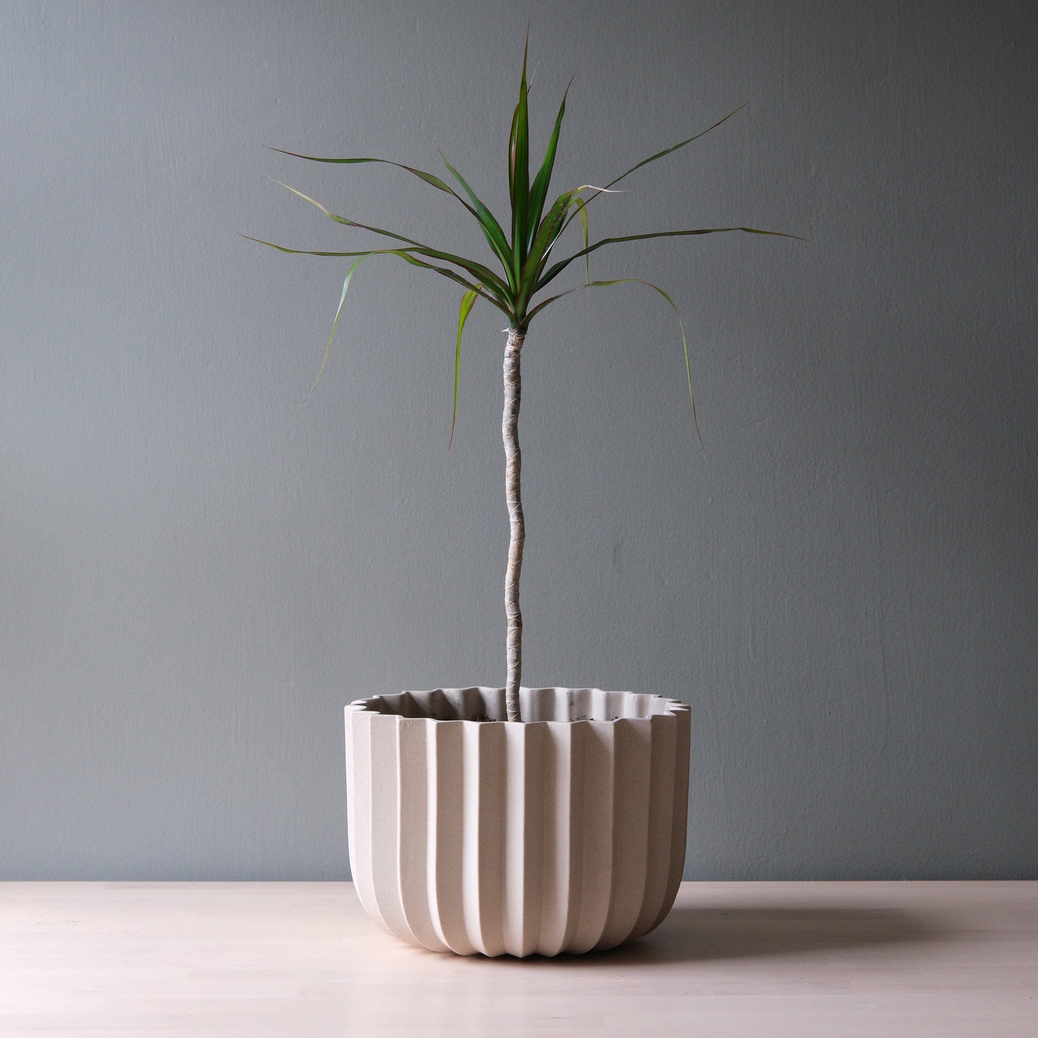 Misewell Pots &amp; Planters dune / 9 inch Wrap Planter - 4 sizes