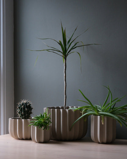 Wrap Planter - 4 sizes