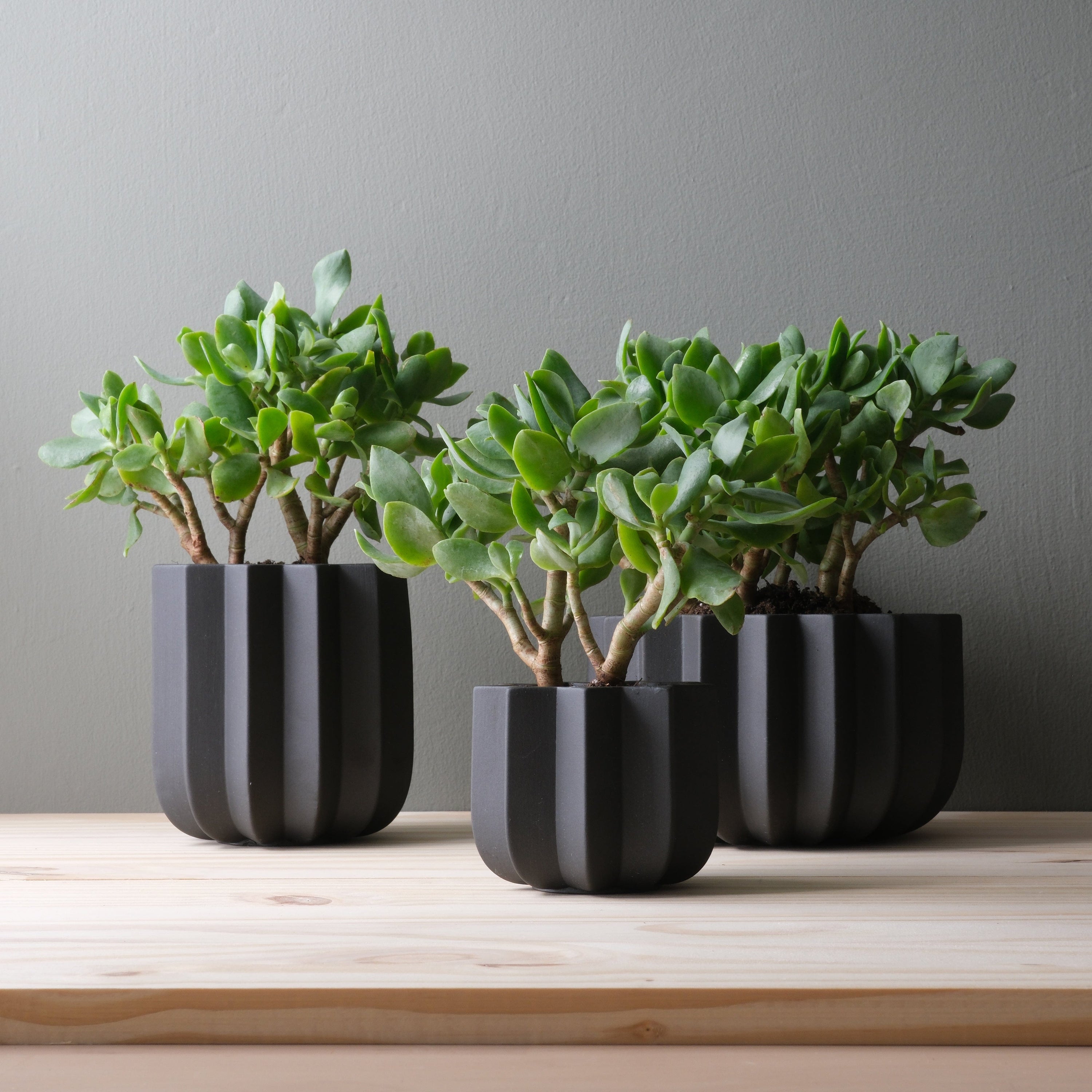 Misewell Pots &amp; Planters Wrap Planter - 4 sizes