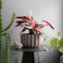 Misewell Pots & Planters dune / 7 inch Wrap Planter - 4 sizes