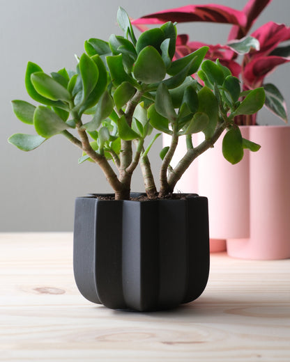 Wrap Planter - 4 sizes