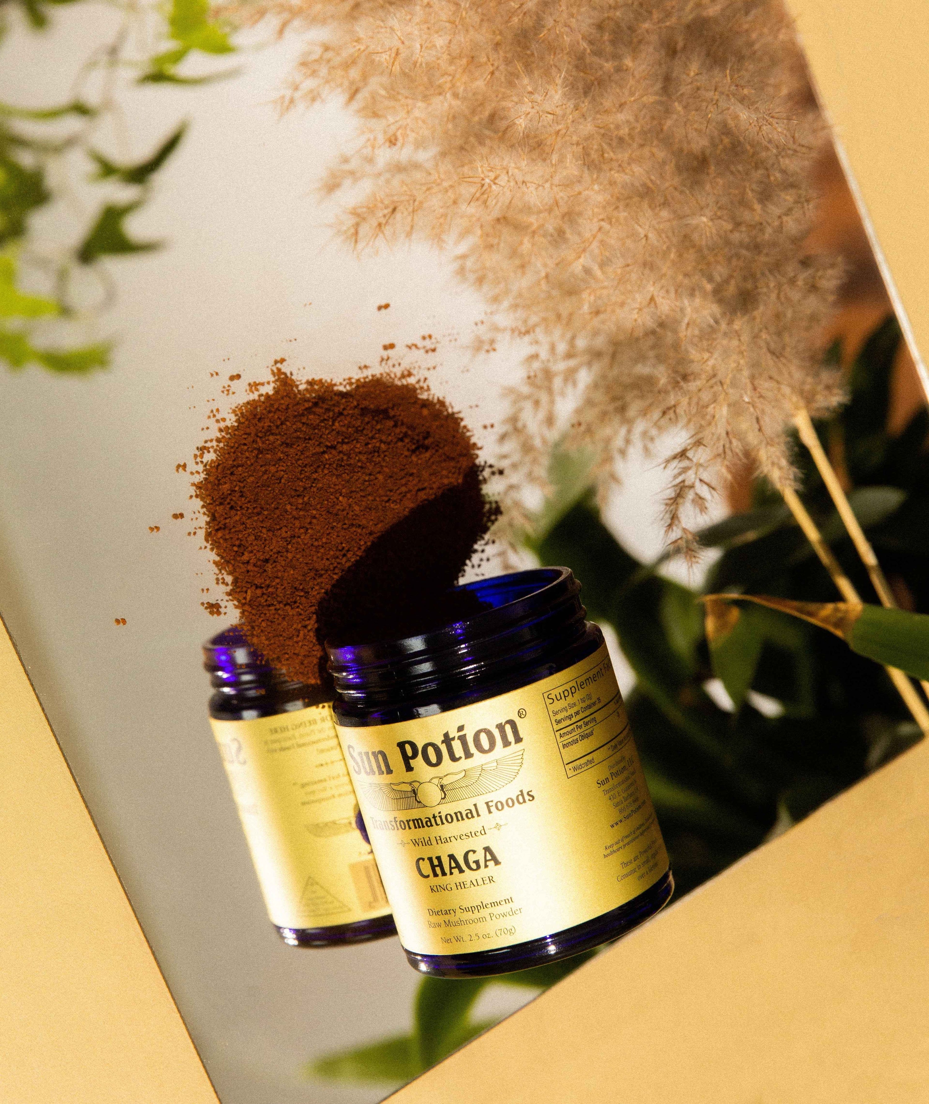 Sun Potion Adaptogen 70g Jar Chaga Mushroom Powder (Wildcrafted)