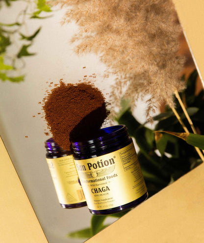 Sun Potion Adaptogen 70g Jar Chaga Mushroom Powder (Wildcrafted)