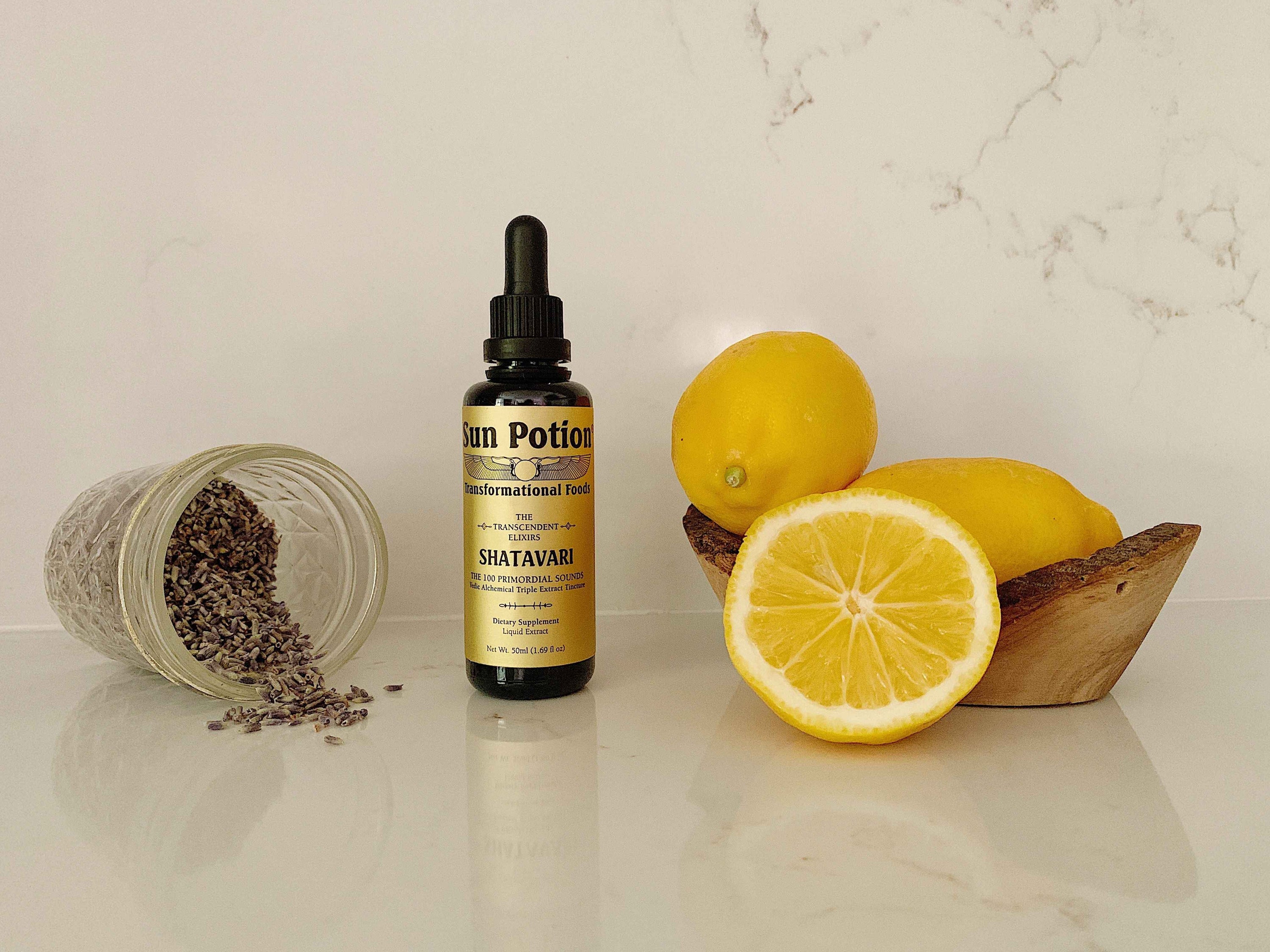 Sun Potion tincture 50ml Shatavari tincture Shatavari Transcendent Elixir
