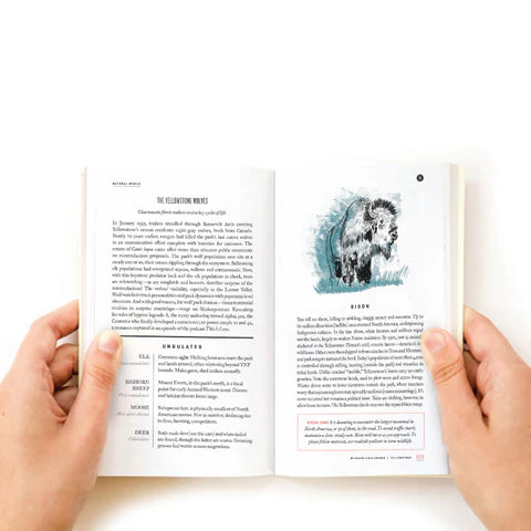 Yellowstone National Park