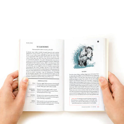 Yellowstone National Park