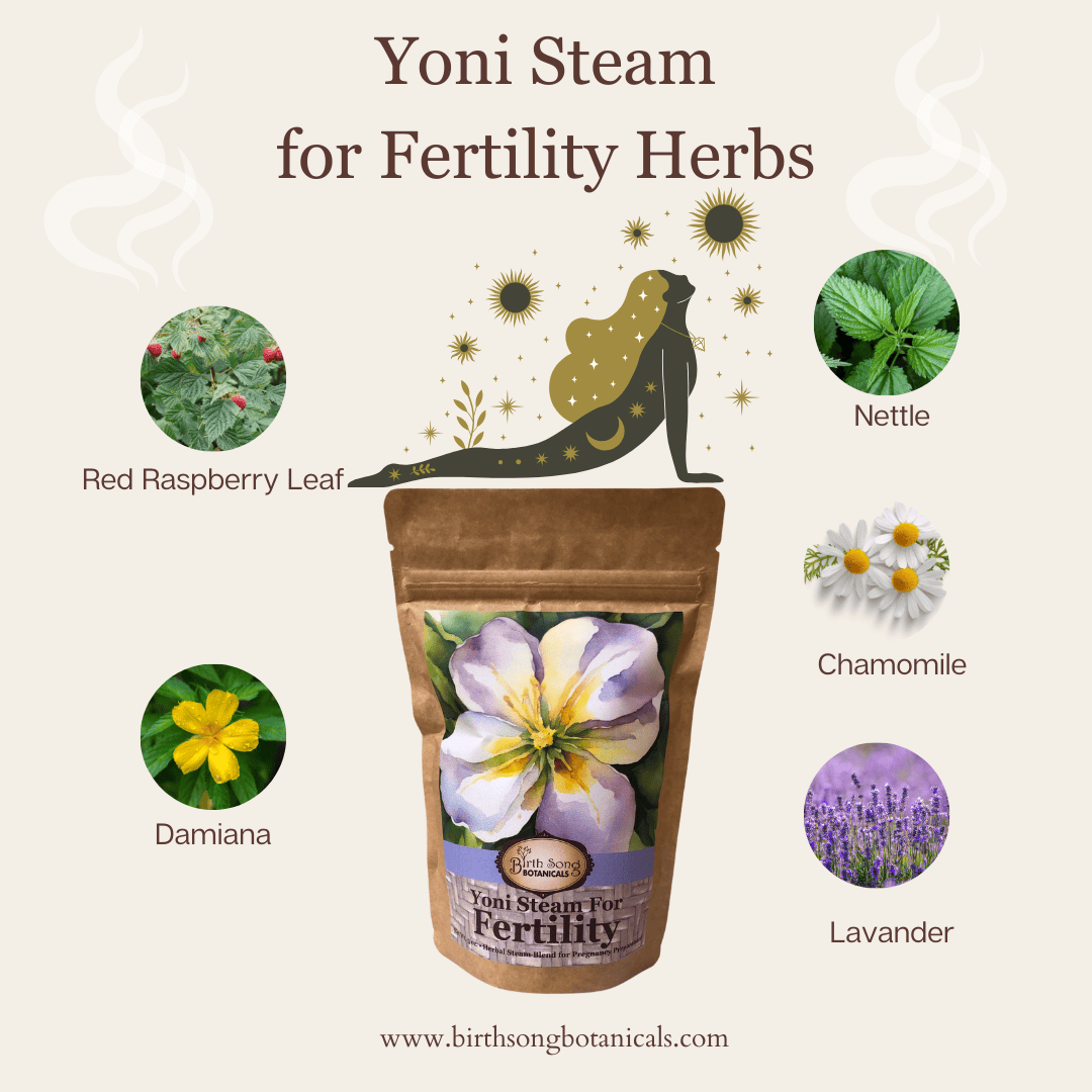 Birth Song Botanicals Co. Yoni steam Yoni Steam for Fertility* Organic Herbal Vaginal Steaming Blend to Support Fertility and Womb Health, V Steam Herb, Vaginal and Uterine Care 3 oz.