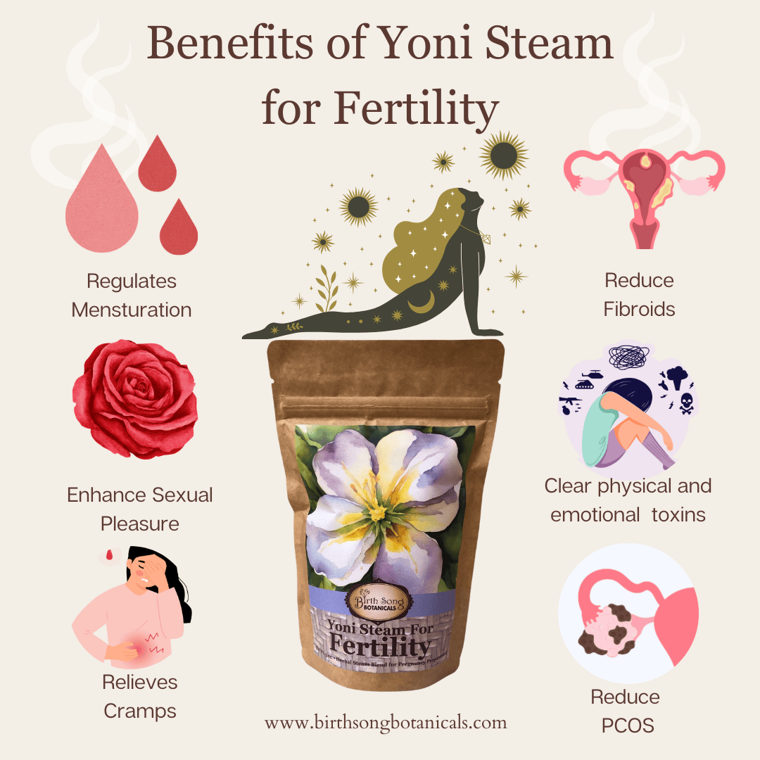 Birth Song Botanicals Co. Yoni steam Yoni Steam for Fertility* Organic Herbal Vaginal Steaming Blend to Support Fertility and Womb Health, V Steam Herb, Vaginal and Uterine Care 3 oz.