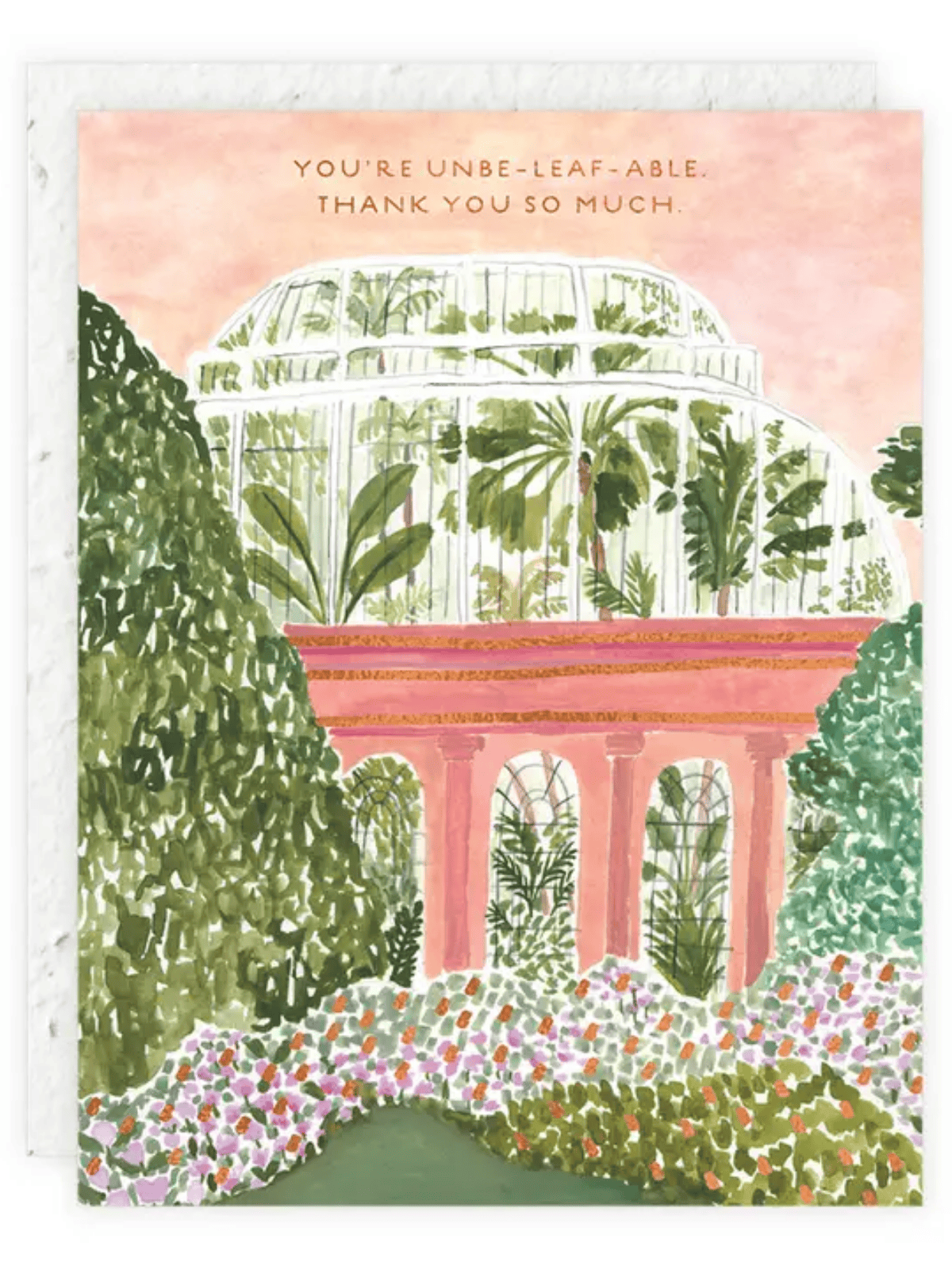 Ash &amp; Rose Greeting &amp; Note Cards You&