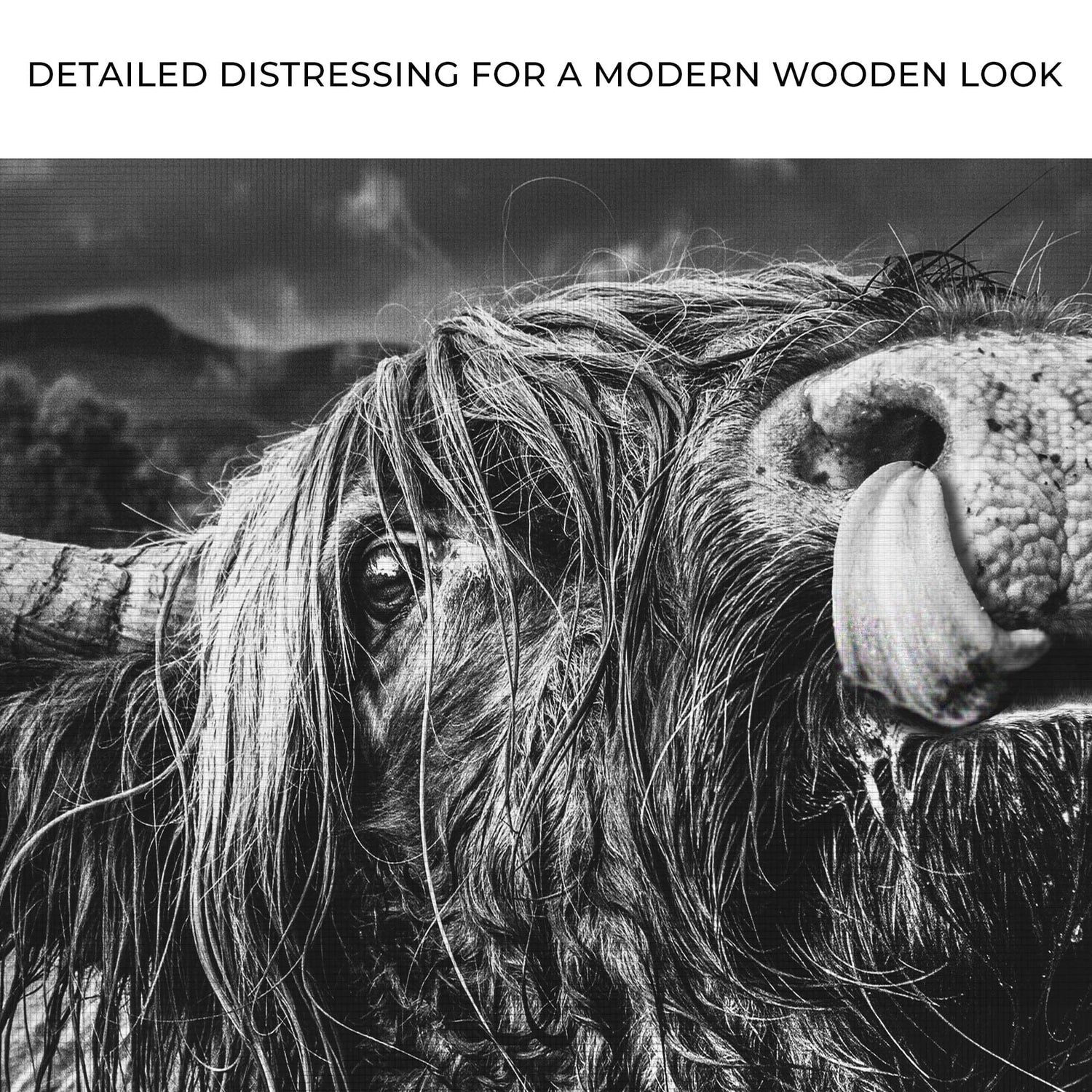 Tailored Canvases Canvas West Highland Cow Monochrome Canvas Wall Art