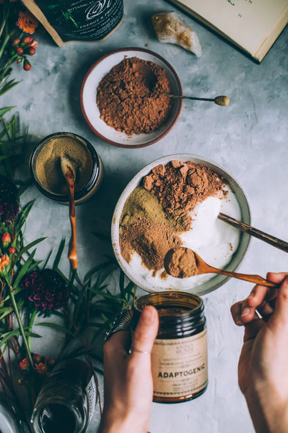 Anima Mundi Mushroom Products ADAPTOGENIC Powder | Organic, 7 Medicinal Mushrooms + Cacao