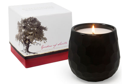 Botanique Black 16 oz Candle - My American Goods