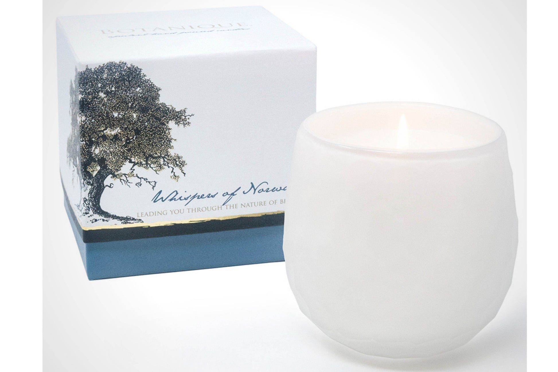 Botanique White 16 oz Candle - My American Goods