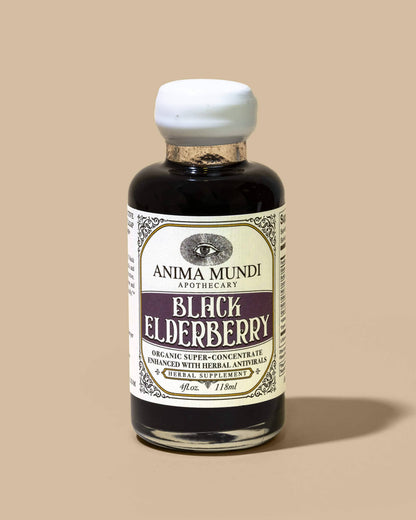 Anima Mundi 4 oz BLACK ELDERBERRY Elixir | Botanical Mushroom Syrup