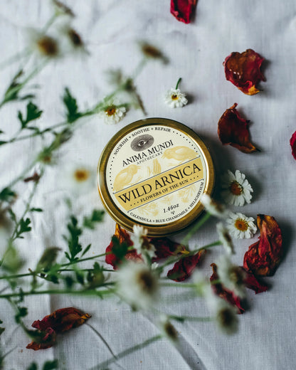 Anima Mundi Balm WILD ARNICA BALM | Flowers of the Sun