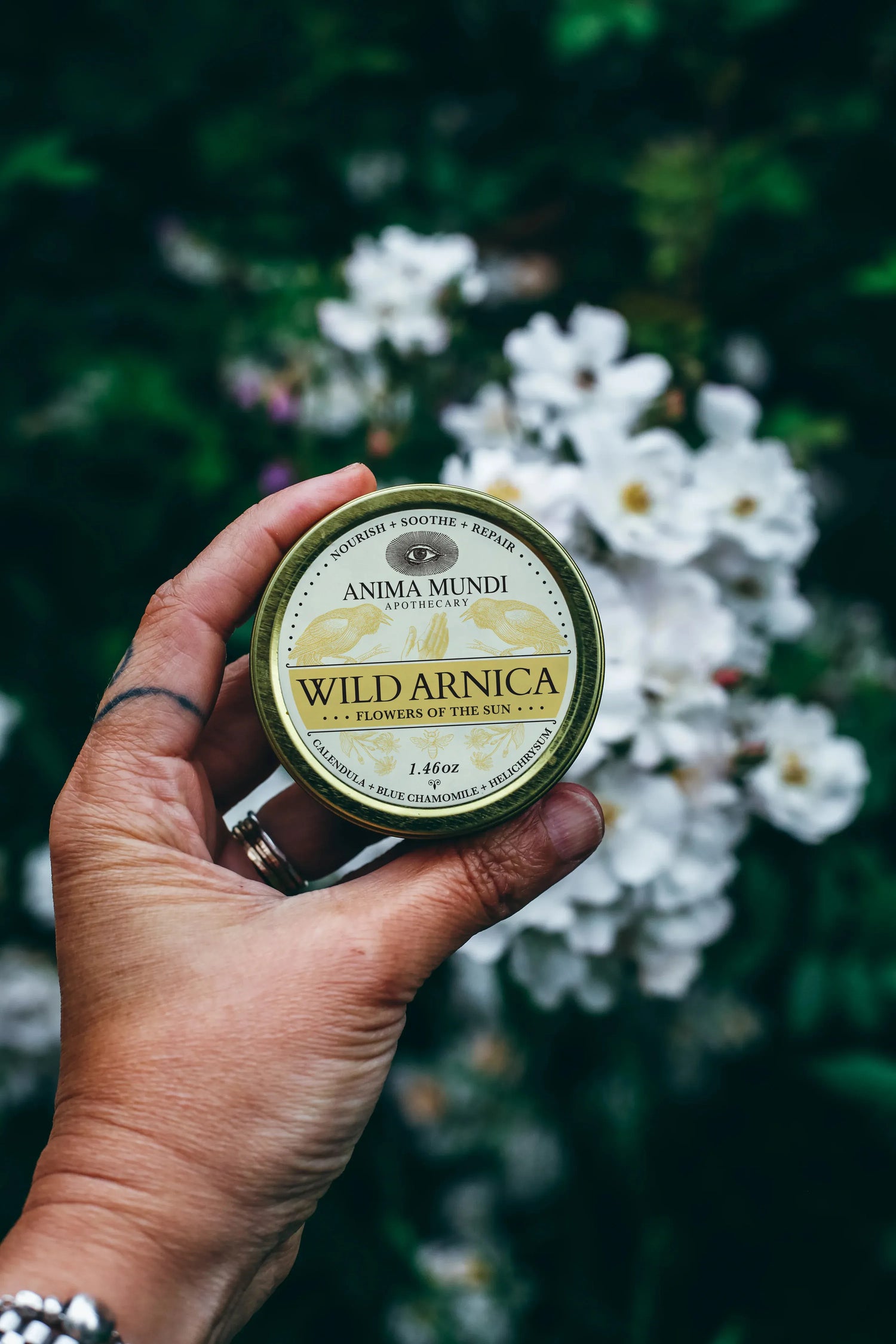 Anima Mundi Balm WILD ARNICA BALM | Flowers of the Sun