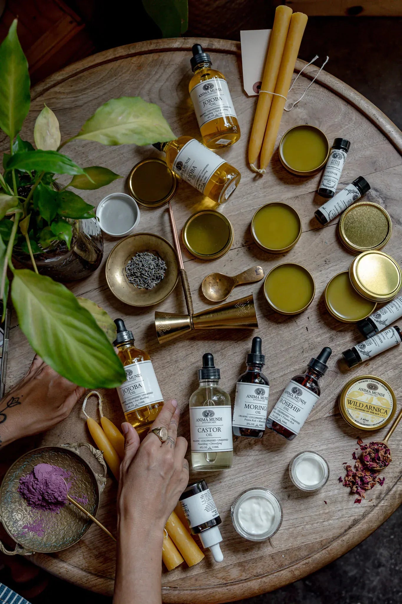 Anima Mundi Balm WILD ARNICA BALM | Flowers of the Sun