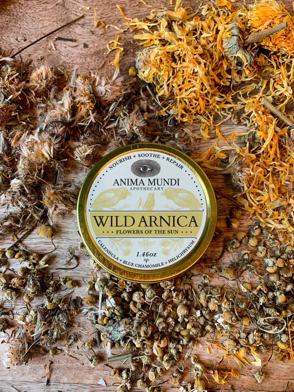 Anima Mundi Balm WILD ARNICA BALM | Flowers of the Sun