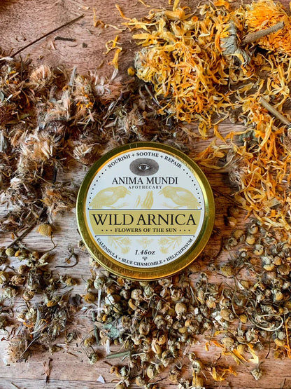 Anima Mundi Balm WILD ARNICA BALM | Flowers of the Sun