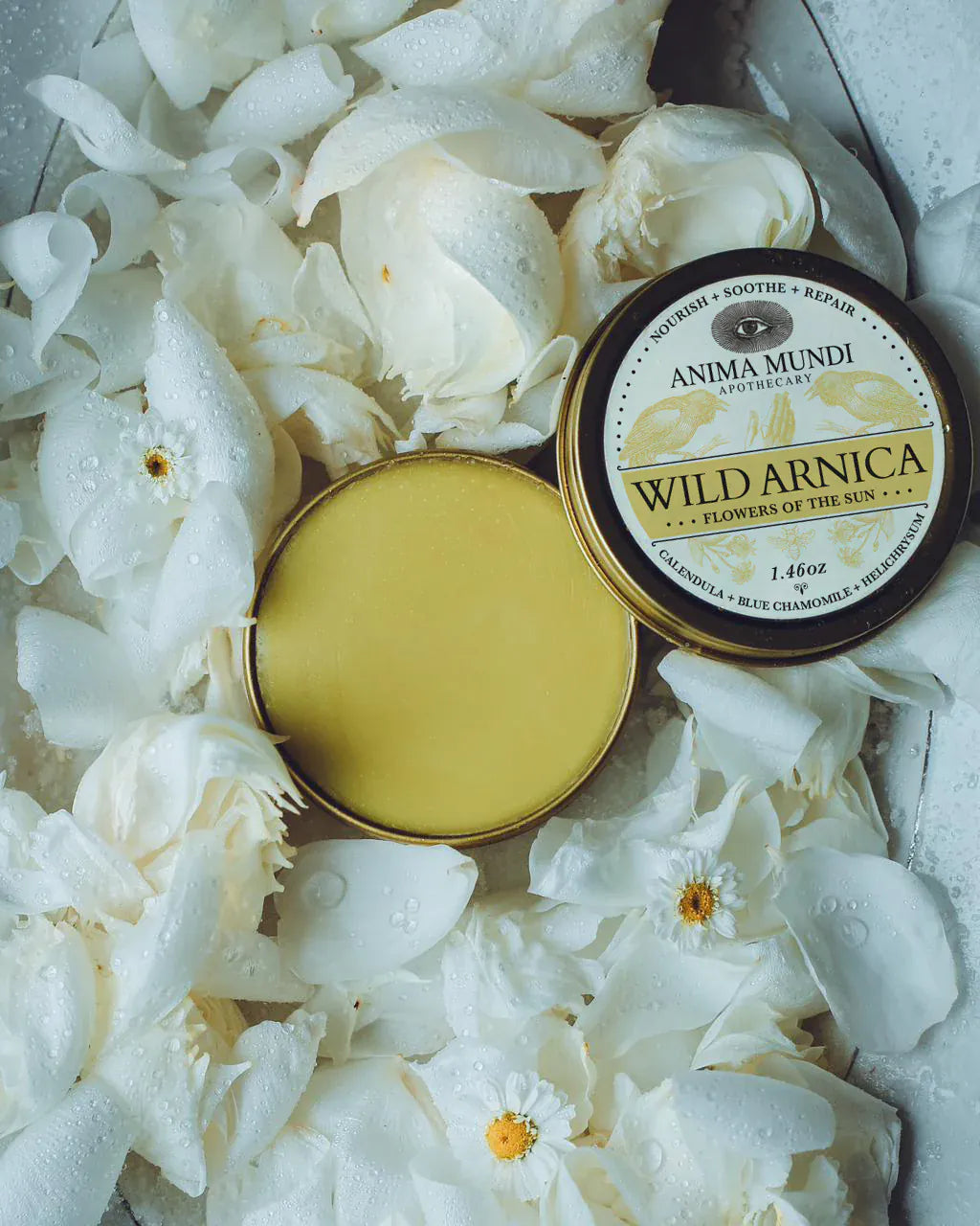 Anima Mundi Balm WILD ARNICA BALM | Flowers of the Sun