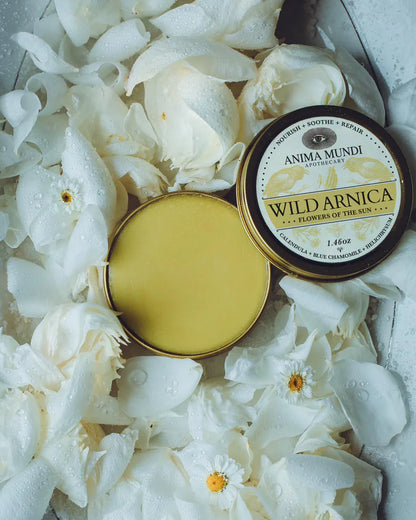 Anima Mundi Balm WILD ARNICA BALM | Flowers of the Sun