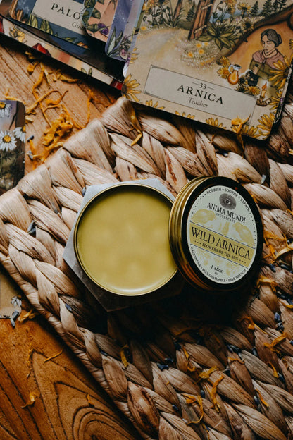 Anima Mundi Balm WILD ARNICA BALM | Flowers of the Sun