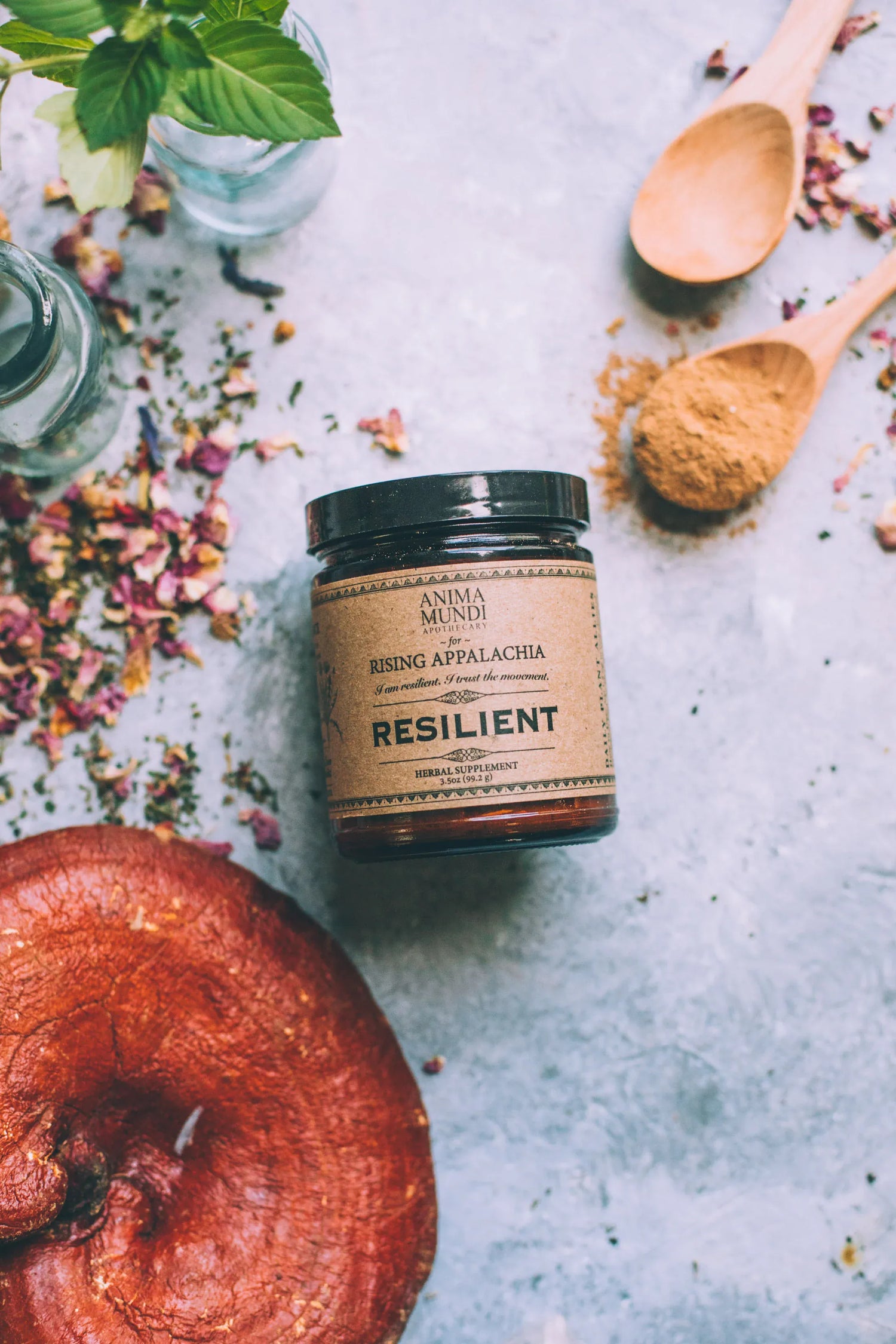 Anima Mundi Superfood RESILIENT Powder | Adaptogens + Cacao