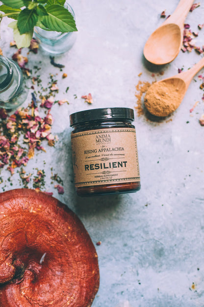 Anima Mundi Superfood RESILIENT Powder | Adaptogens + Cacao