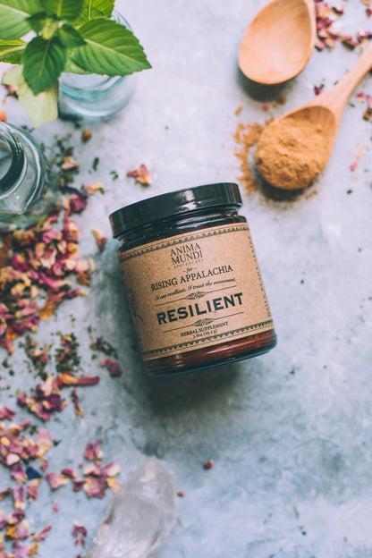Anima Mundi Superfood RESILIENT Powder | Adaptogens + Cacao